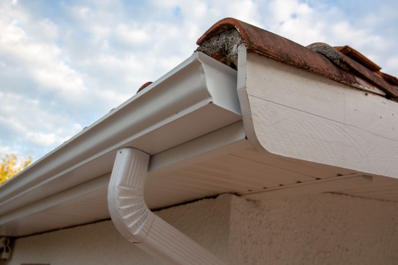 Gutter and Roof System